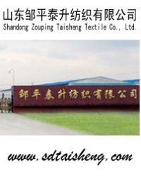Shandong Zouping Taisheng Textile Co., Ltd.